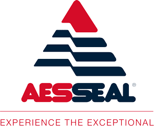 AES Logo 2010 Experience