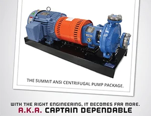 Industrial Pumps and Vacuum Systems